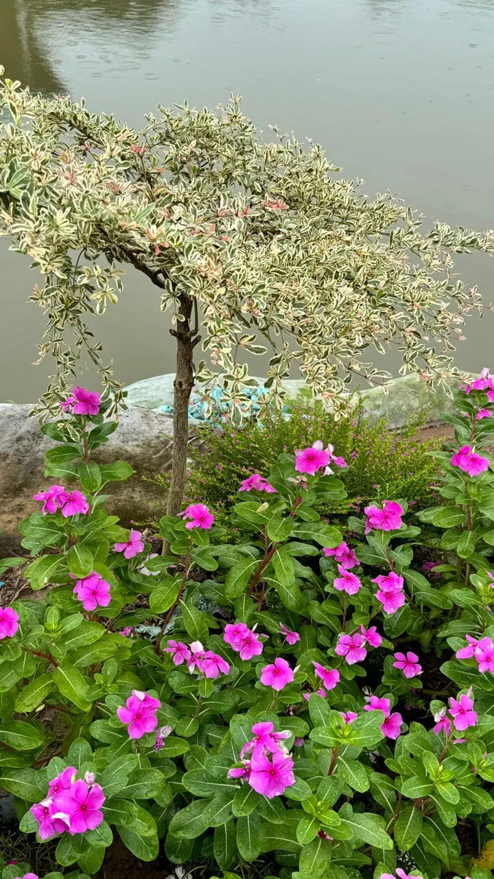 z5711949181887_d65f83d0432cef5c0b5007411a27f3dd