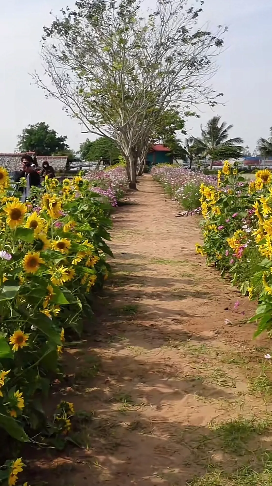 z5712047817291_4f0e92ebdcb99c3efc4b3292abbfbe68