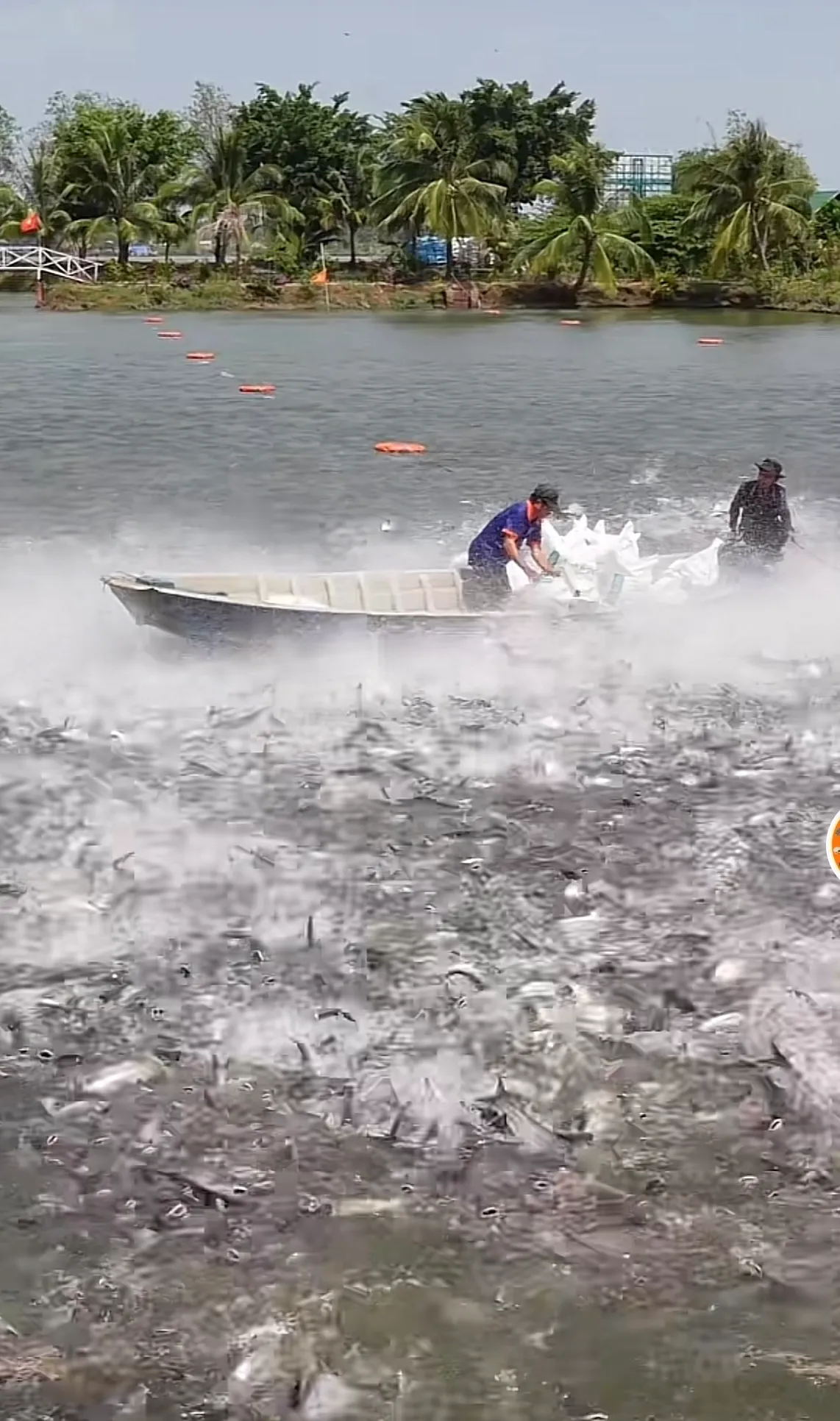 z5712047837217_3136acbb882435027a6bae683b0235a6