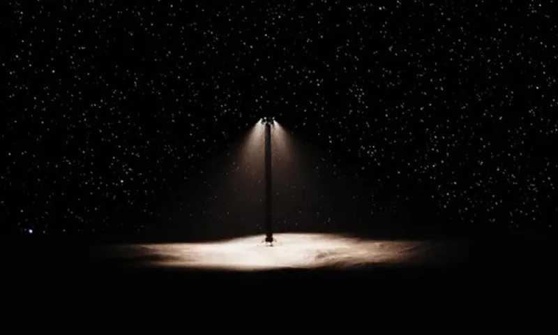 VNE-Light-9007-1723178033