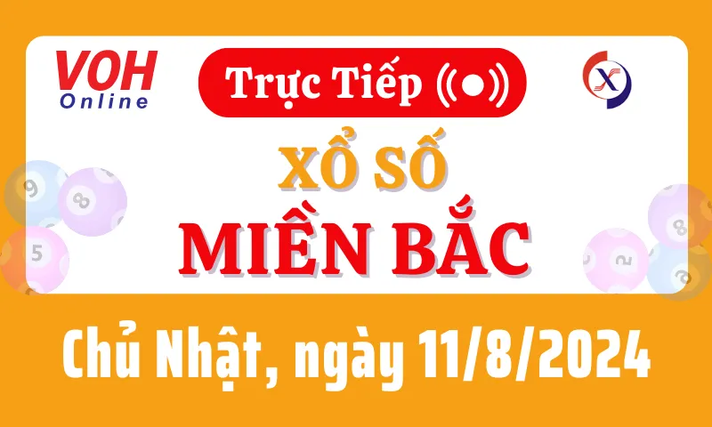 XSMB 11/8, Trực tiếp xổ số miền Bắc chủ nhật ngày 11/8/2024