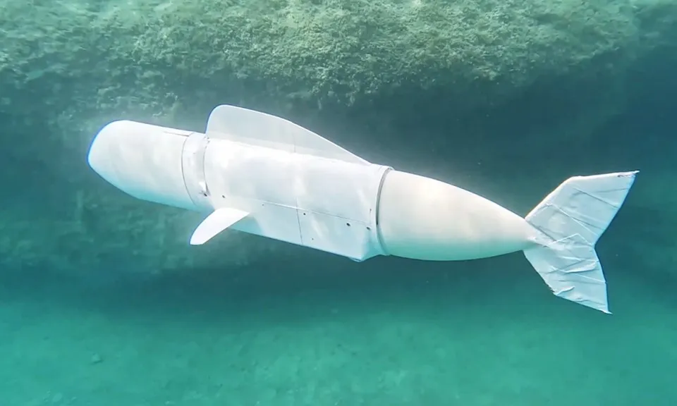 Phát triển loại cá robot thu thập DNA sinh vật dưới nước