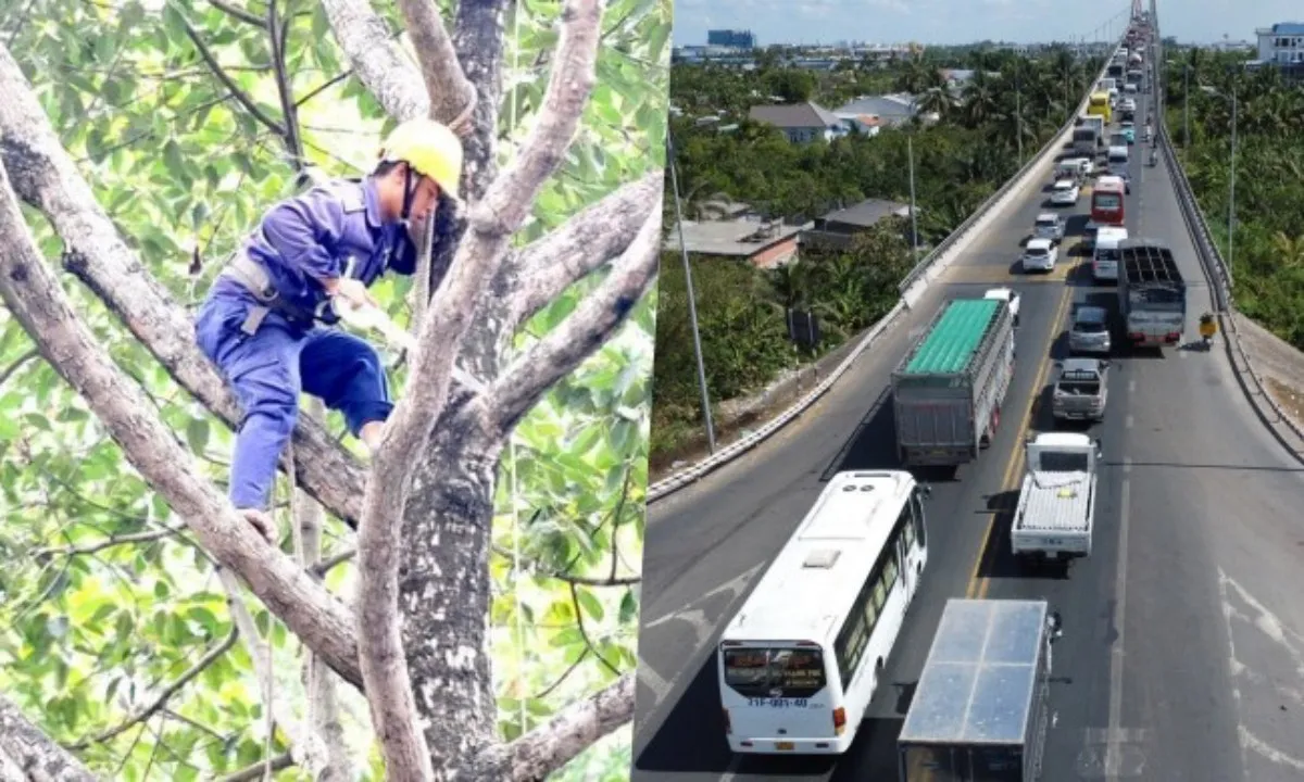 Điểm tin sáng 12/8: Sử dụng flycam kiểm tra cây xanh | Cầu Rạch Miễu sẽ kiểm định từ 13 - 15/8