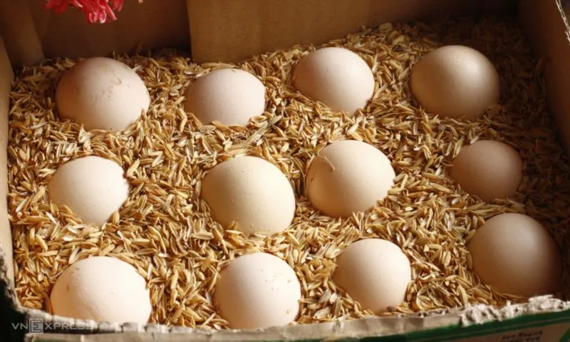  8 mẹo bảo quản trứng tươi ngon không cần tủ lạnh