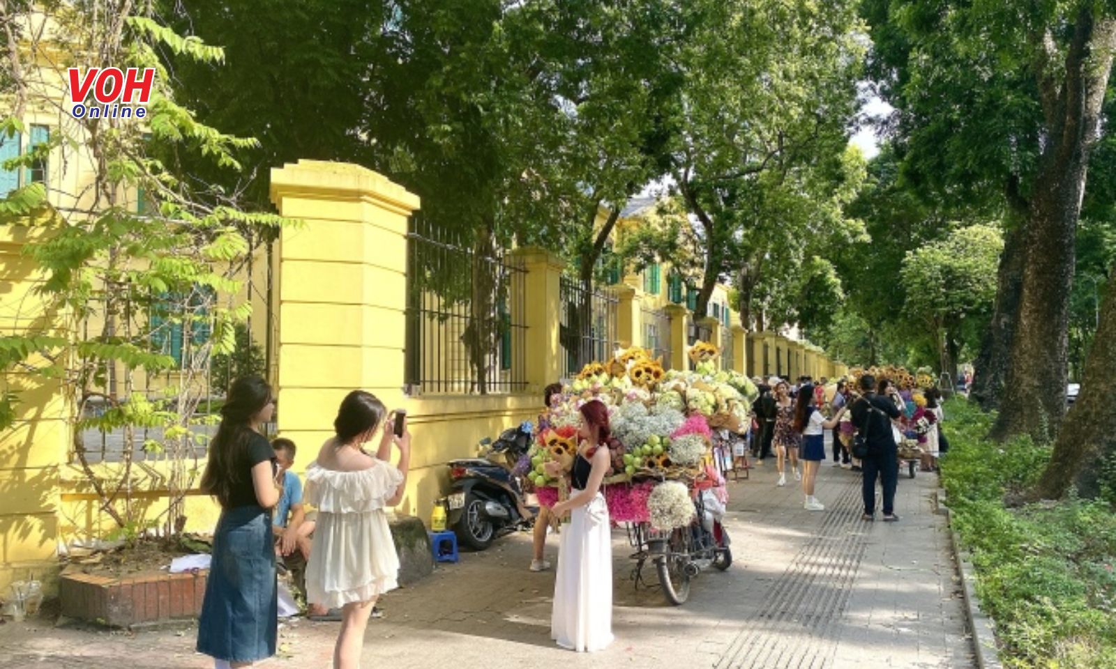 Giới trẻ Hà Nội chụp ảnh thu giữa nắng nóng 40 độ