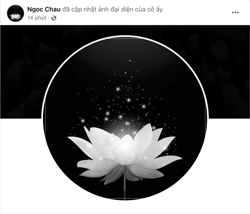 me-hoa-hau-ngoc-chau-qua-doi-005