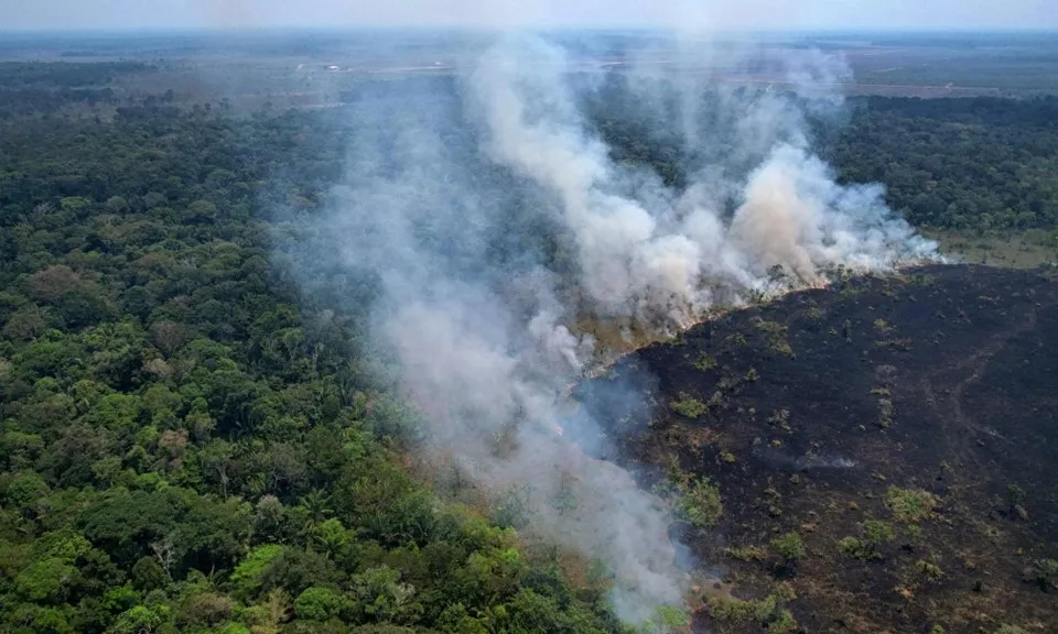 Số vụ cháy rừng tăng kỷ lục ở Amazon, Brazil