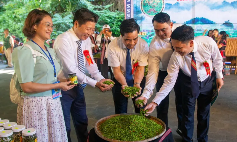 Lễ hội ớt A Riêu: giới thiệu giống ớt độc đáo của đồng bào Cơ Tu xứ Quảng Nam