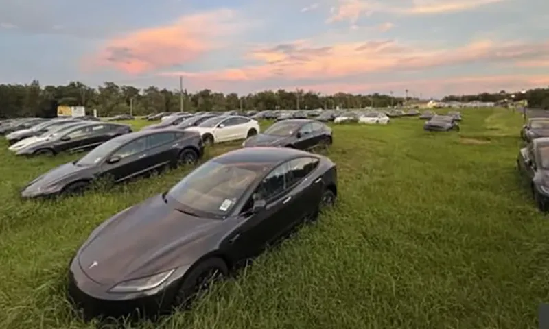 Một Redditor đã tìm thấy một bãi cỏ đầy những chiếc Tesla Model 3 mới ở FloridaNguồn r TeslaModel3