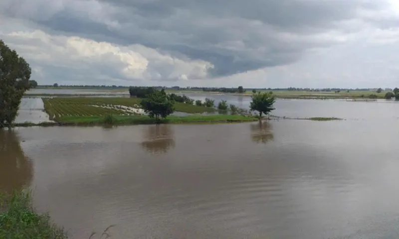 Quảng Bình: Tìm thấy thi thể nam sinh nhảy cầu sông Gianh