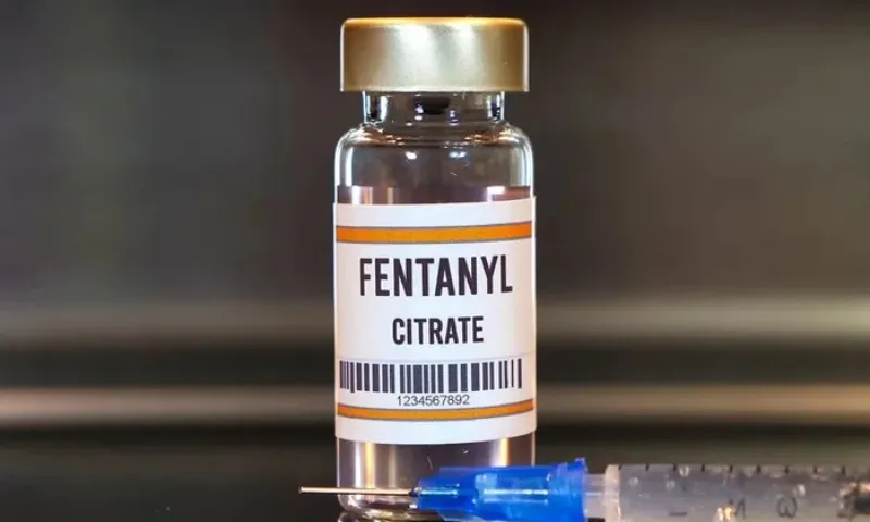 Cảnh báo nguy hiểm về ma túy tổng hợp fentanyl