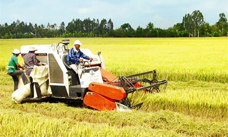 Cơ quan chức năng khuyến cáo người dân không lại gần máy gặt đang vận hành để bảo đảm an toàn