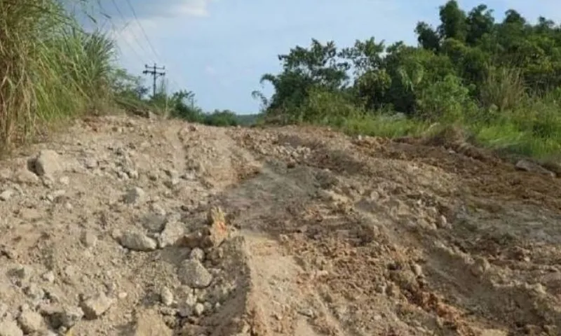 Bề mặt bê tông của con đường cũng bị đào lên để trộm