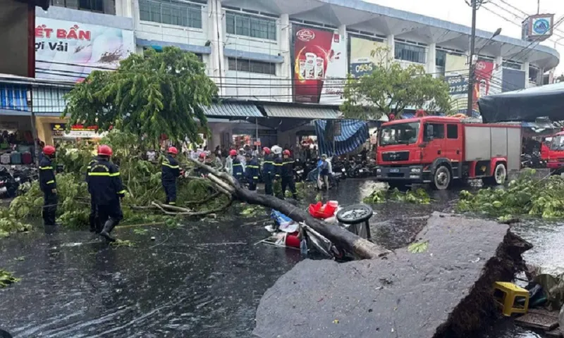 Đà Nẵng: Cây lớn bật gốc trong mưa đông, một phụ nữ bị thương