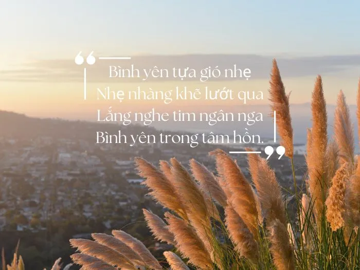 voh-tho-ngan-cuoc-song-hay-2