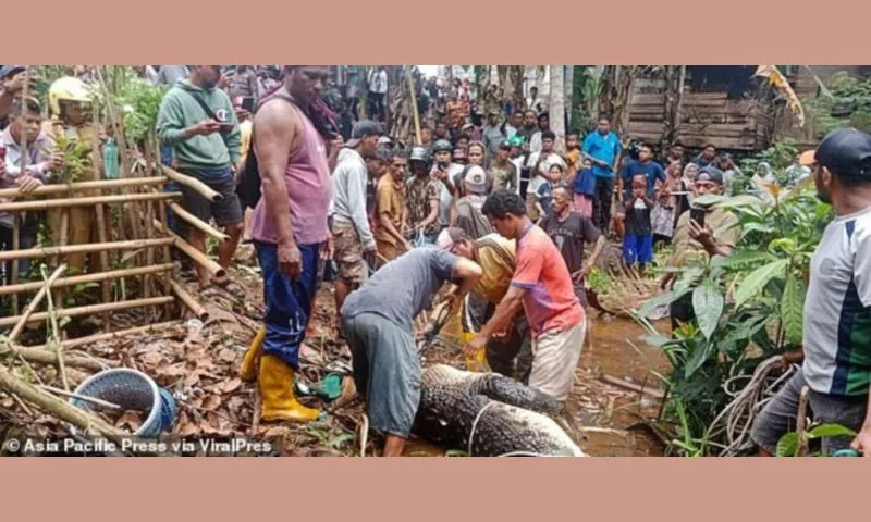 Indonesia: Người phụ nữ bị cá sấu tấn công ăn thịt