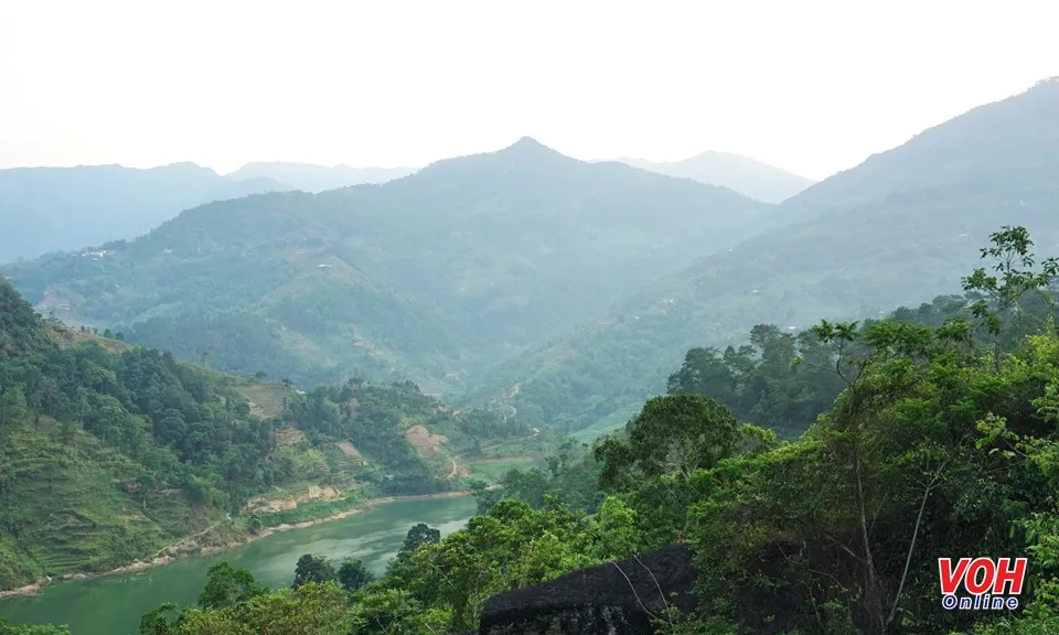 Xây dựng ngành lâm nghiệp trở thành ngành kinh tế, kỹ thuật