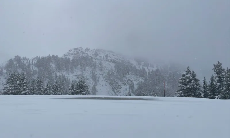 Tuyết rơi giữa mùa hè trên dãy Sierra Nevada: Hiện tượng lạ sau hơn 20 năm 