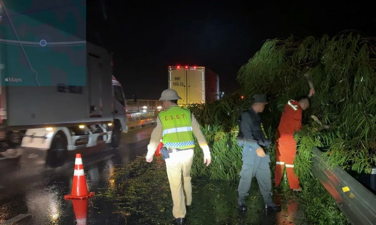 CSGT dầm mưa cắt tỉa cây xanh ngã trên đường cao tốc