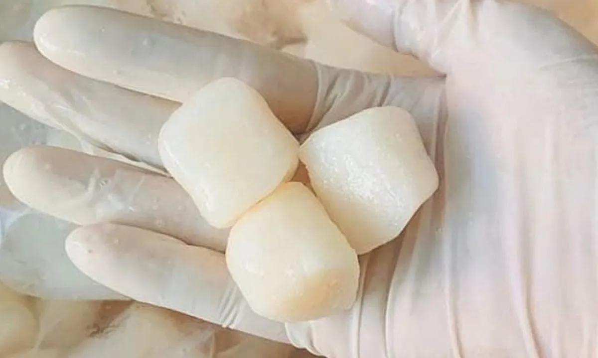 Sò điệp Nhật Bản ồ ạt nhập khẩu vào Việt Nam, giá giảm một nửa