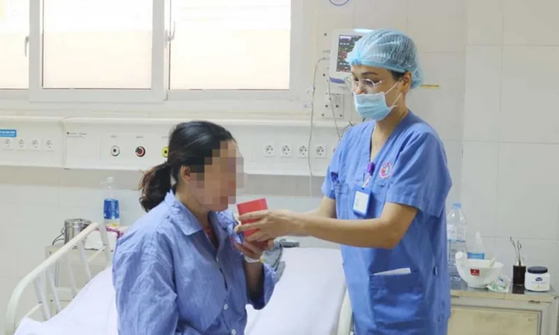 Quảng Ninh: Nhiều trường hợp bị rắn độc cắn phải nhập viện