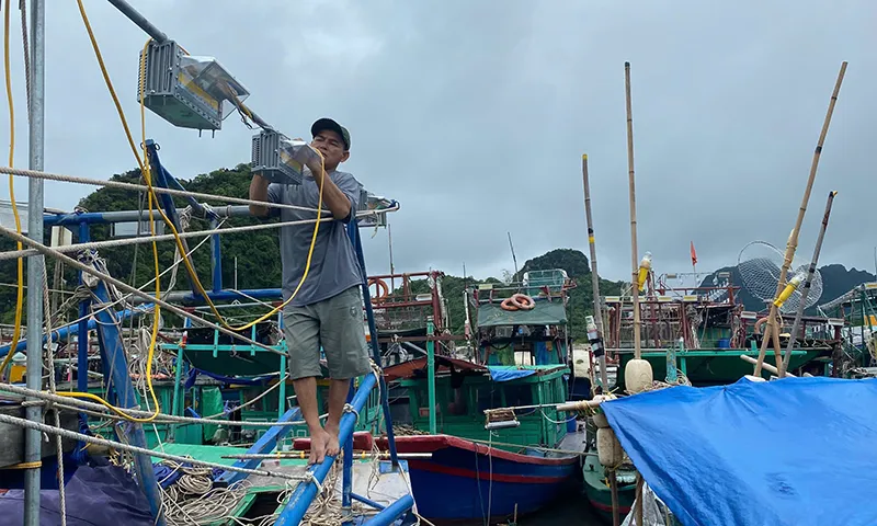 Quyết liệt xóa tàu cá mồ côi 3 không
