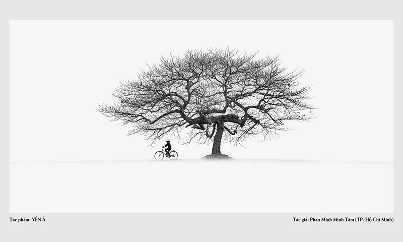 19-phan minh minh tam-tp hcm-0918301727-yen a - print