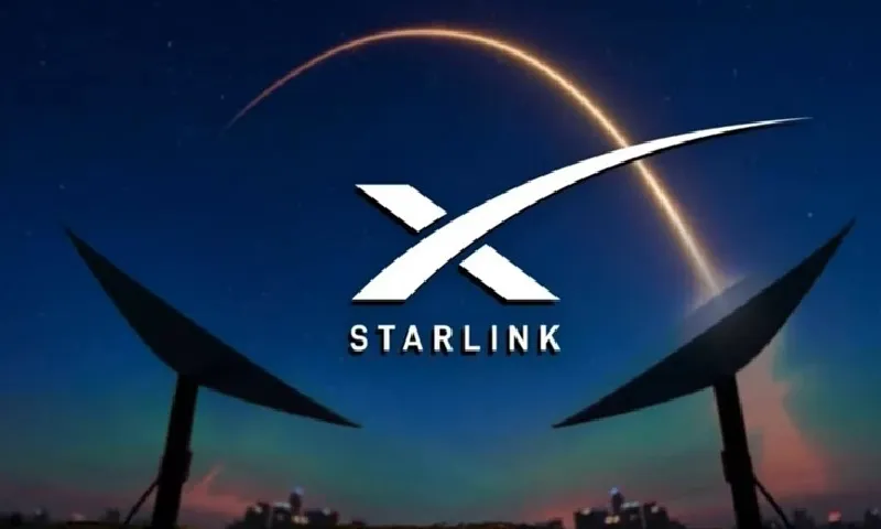 Tài khoản ngân hàng công ty Starlink bị đóng băng