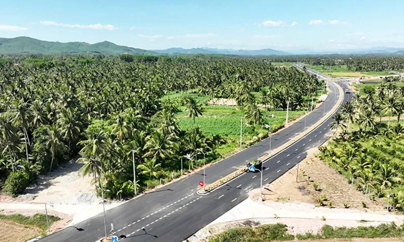 Cung đường kết nối từ quốc lộ 1 đến đường ven biển trên địa bàn Hoài Nhơn đi qua những rừng dừa xanh mát ở Tam Quan