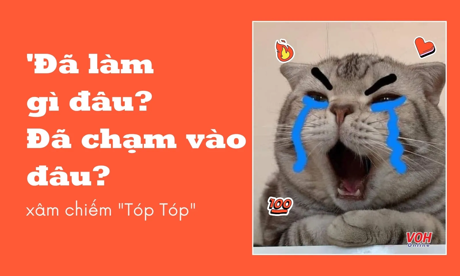 Đã làm gì đâu? Đã chạm vào đâu? xâm chiếm Tóp Tóp