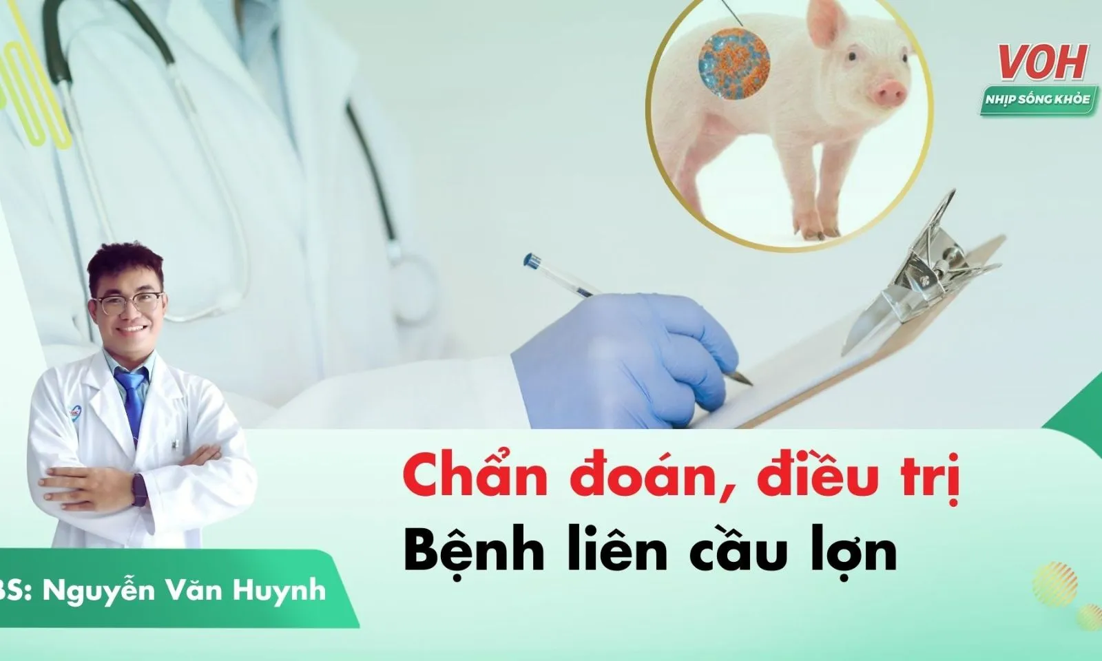 Cách chẩn đoán và phương pháp điều trị bệnh liên cầu lợn