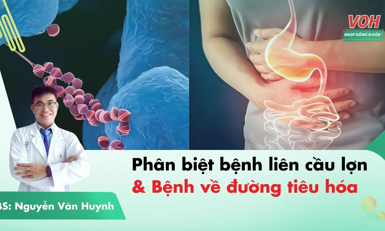 Phân biệt bệnh liên cầu lợn và các bệnh về đường tiêu hóa 