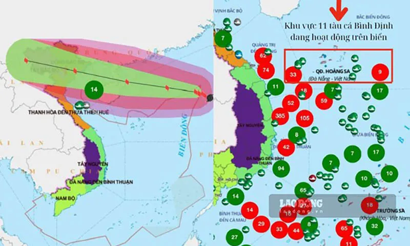 Bình Định phát thông báo cho 11 tàu cá trên biển còn trong vùng nguy hiểm của bão số 3 Yagi di chuyển về nơi an toàn. Ảnh  Sở NN&PTNT Bình Định