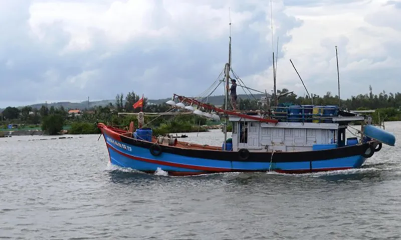 Bộ Chỉ huy Bộ đội Biên phòng tỉnh Quảng Ngãi đề nghị các tàu cá khẩn trương di chuyển, tìm nơi tránh trú bão an toàn.