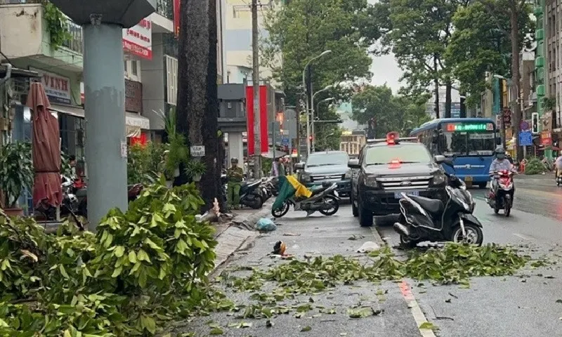 Mưa lớn chiều 4/9 tại TPHCM: Một phụ nữ tử vong do nhánh cây rơi trúng