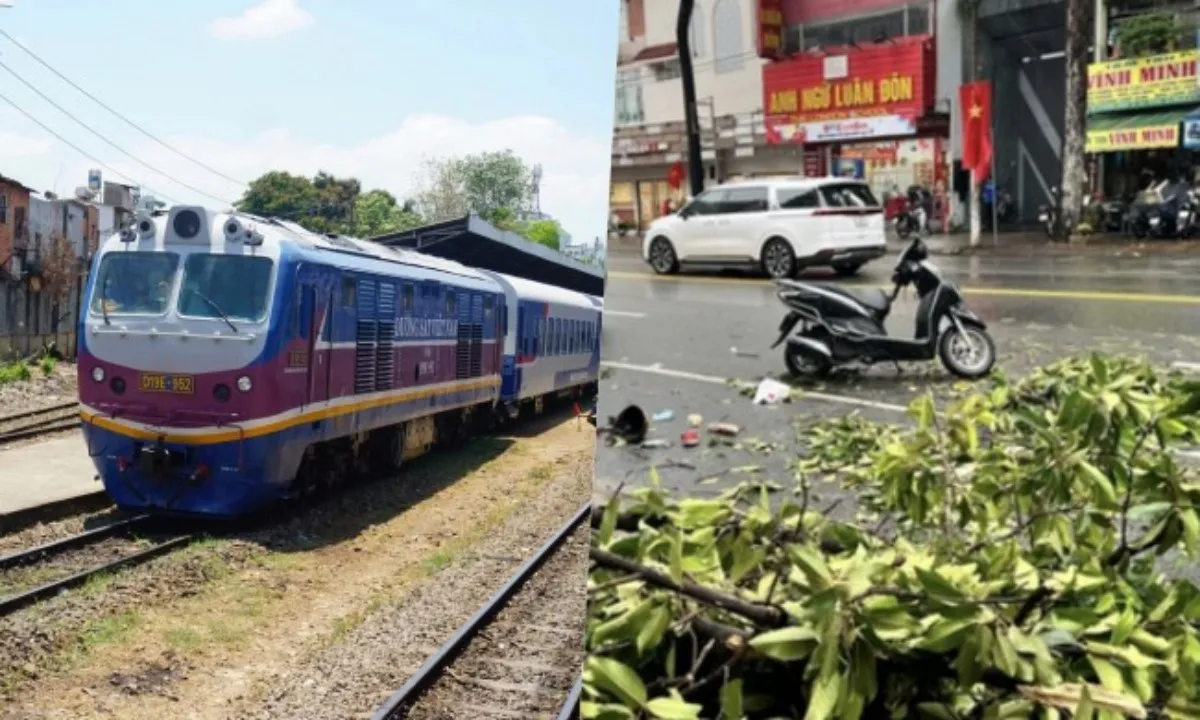 Điểm tin sáng 5/9: Nghiên cứu giải pháp kết nối ga Sài Gòn | Một người tử vong do cây rơi trúng