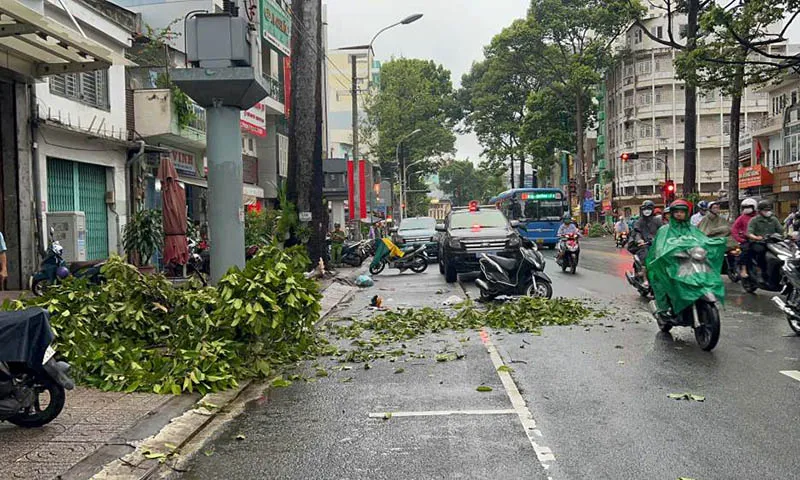 Hiện trường người phụ nữ bị nhánh cây rơi trúng ở Quận 5, TPHCM.