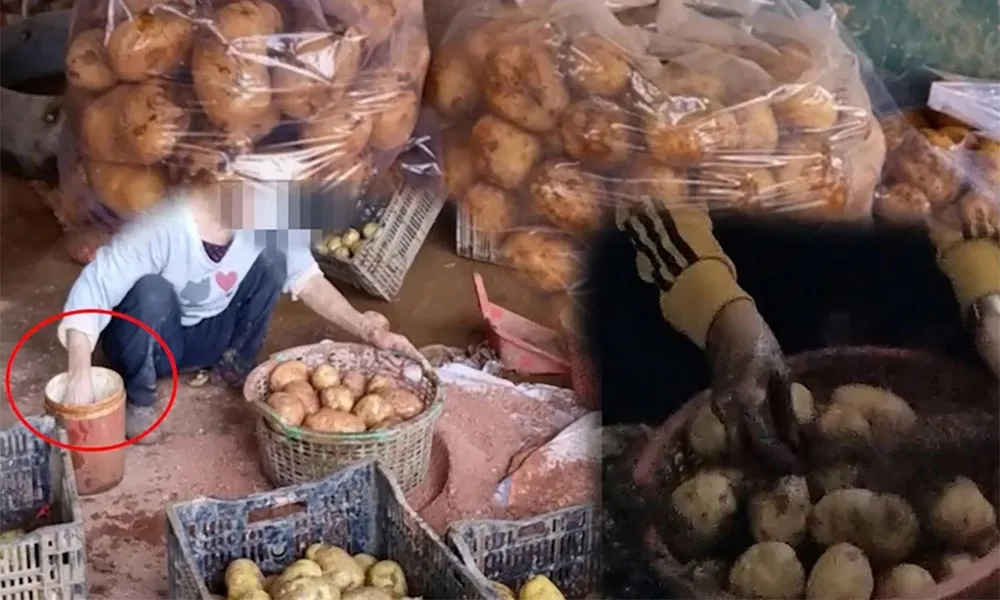 Xỷ lý nghiêm tình trạng hô biến khoai tây Trung Quốc thành khoai tây Đà Lạt