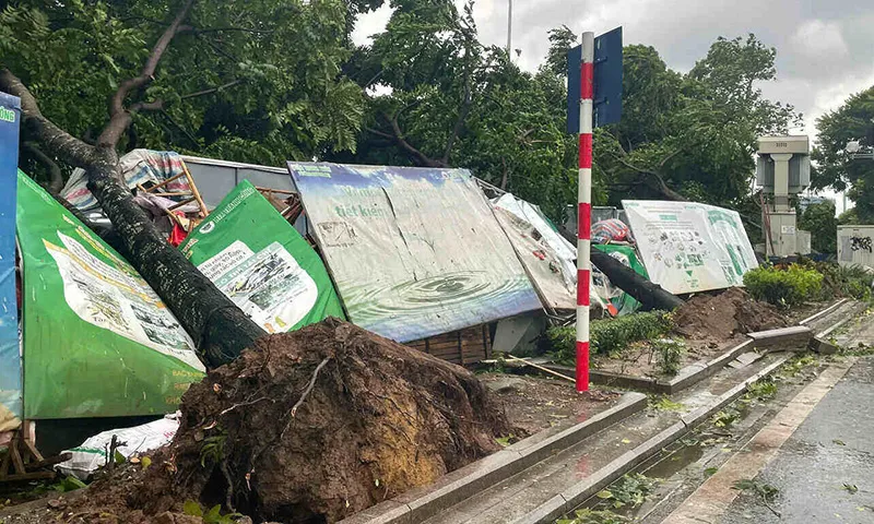14h40 5 cây xanh gần Bảo tàng Phòng không - Không quân (quận Thanh Xuân) bị bật gốc, đè bẹp điểm thu gom rác