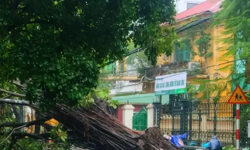 Bãi biển Đồ Sơn mưa rất lớn và gió rất to 