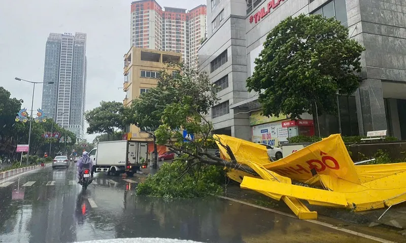 Hà Nội: 7 người thương vong, cây cối đổ rạp