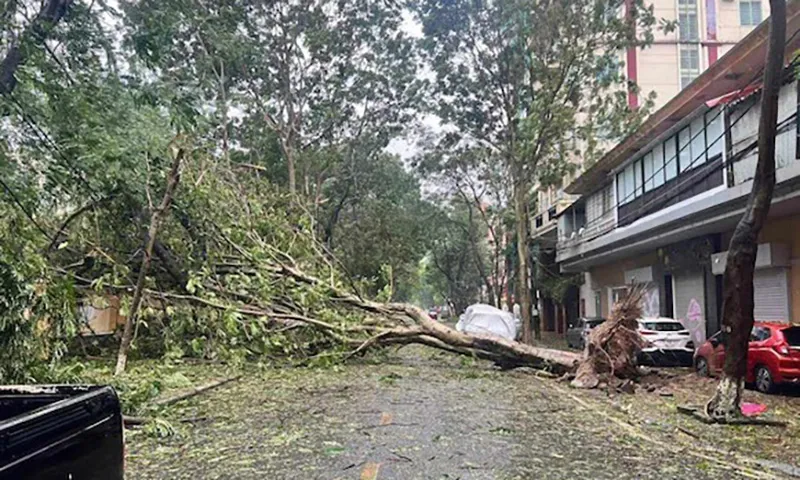 Hải Phòng: người dân không ra khỏi nhà trước 20h, nhiều cây xanh đổ, nhà bay nóc