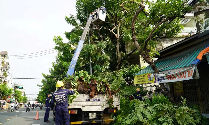 Gần chục nhân viên thuộc Công ty TNHH MTV Công viên Cây xanh TPHCM tiến hành cắt tỉa cây xanh trên đường Trần Thái Tông quận Tân Bình