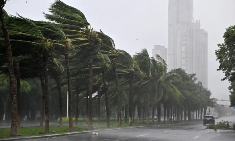 Trung Quốc: Bão Yagi gây mất điện, ảnh hưởng hơn 800.000 hộ gia đình