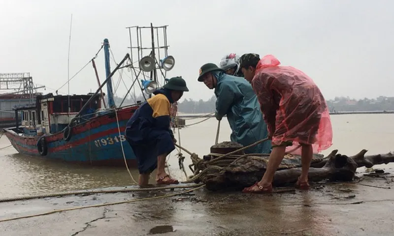 Sơ tán hơn 48.000 người trên lồng bè, chòi canh nuôi thuỷ sản tránh bão số 3