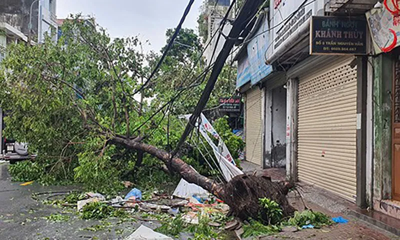 Hải Phòng 300 cột điện đổ, trưa nay khôi phục 80% khu vực có điện trở lại