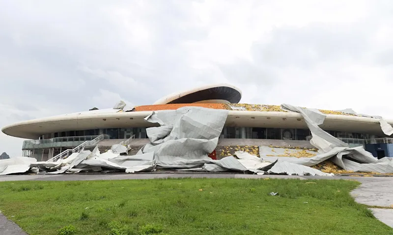 Cung Cá heo nằm trên trục đường Trần Quốc Nghiễm, là dự án quy hoạch triển lãm, hội chợ văn hóa của tỉnh Quảng Ninh