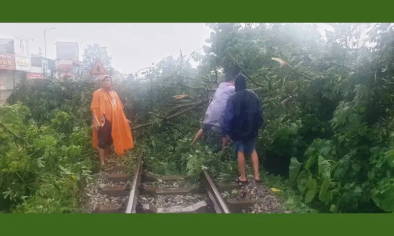 Giải tỏa cây đổ, khôi phục hoạt động đường sắt sau bão số 3