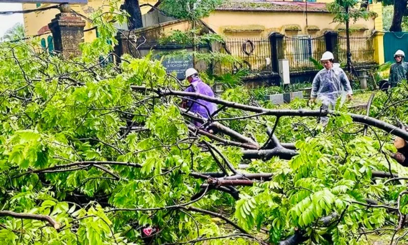TPHCM điều động 48 nhân viên cây xanh hỗ trợ miền Bắc khắc phục bão