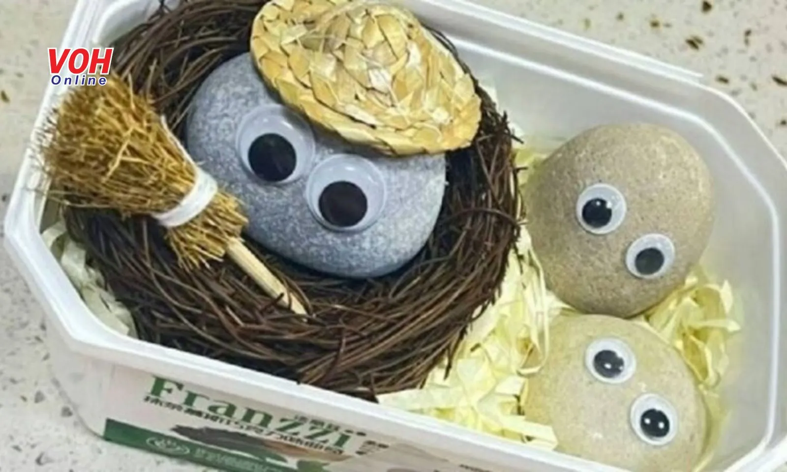 Thú vui độc lạ: Giới trẻ “nuôi” đá cuội làm thú cưng để xua tan cô đơn